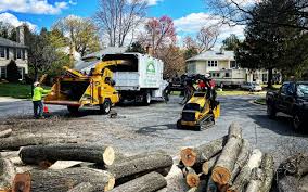 Best Tree Trimming and Pruning  in Mililani Mauka, HI